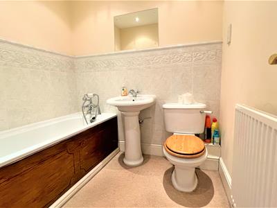 Picture 7